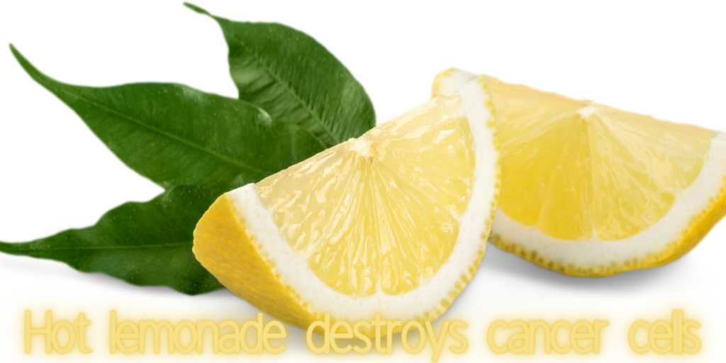 Hot lemonade destroys cancer cells